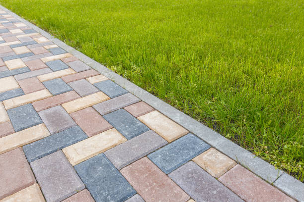 Best Commercial Driveway Pavers  in Boles Acres, NM